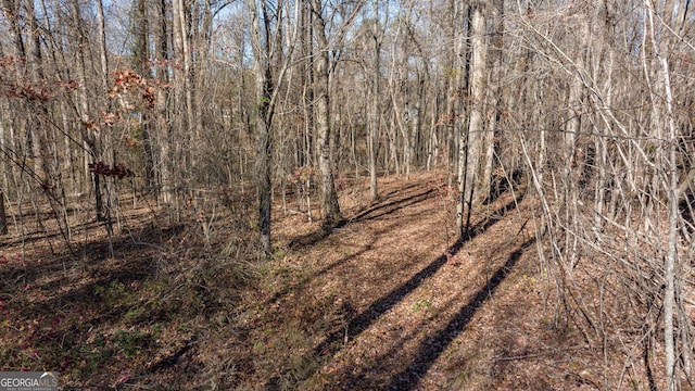 view of landscape