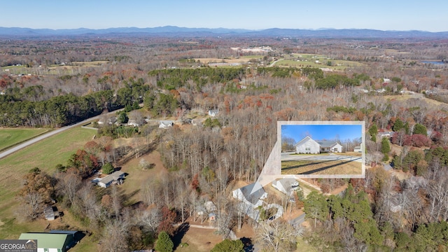 birds eye view of property featuring a mountain view