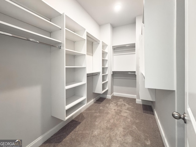 walk in closet with dark colored carpet