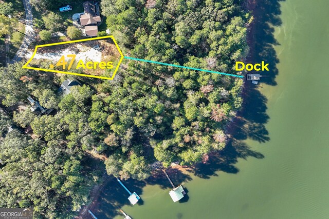 982 Lake Shore Rd, Martin GA, 30557 land for sale