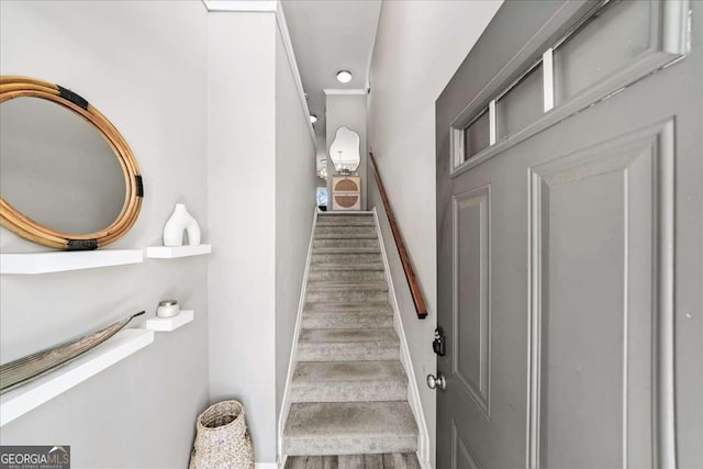 stairway with hardwood / wood-style flooring