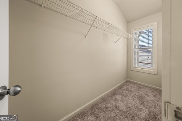 spacious closet featuring lofted ceiling and carpet