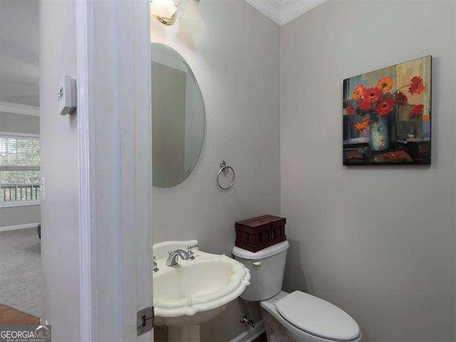 bathroom with toilet, ornamental molding, and sink