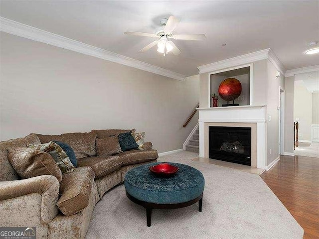 living room featuring hardwood / wood-style floors, ceiling fan, and ornamental molding