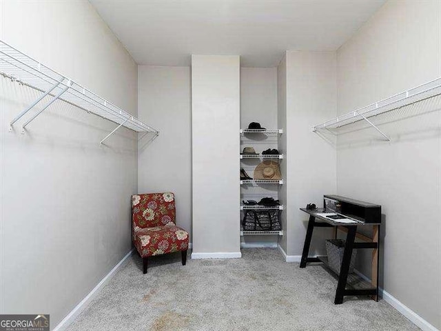 walk in closet featuring carpet