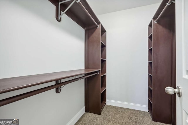 spacious closet with light carpet