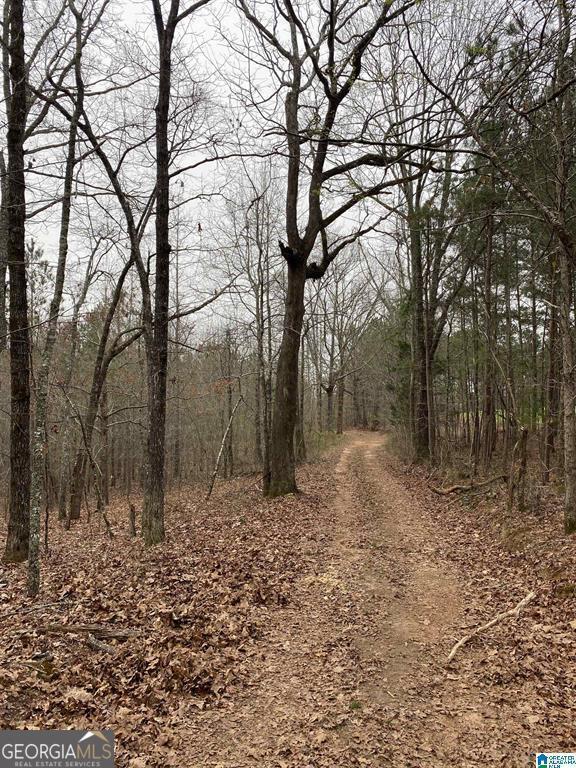 0 County Road 26, Wadley AL, 36276 land for sale