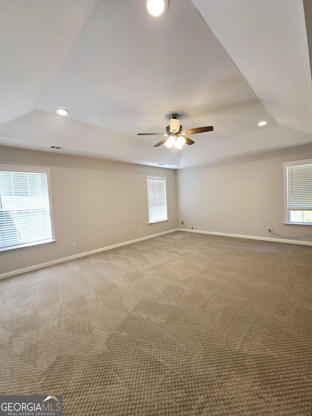 spare room featuring a raised ceiling, a healthy amount of sunlight, and carpet flooring