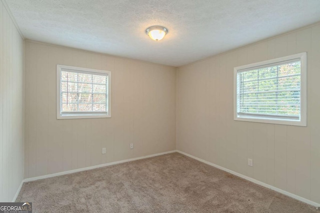 carpeted spare room featuring plenty of natural light and a textured ceiling