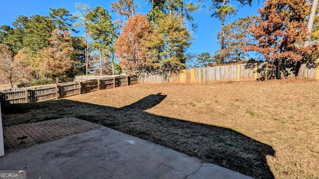 view of yard with a patio