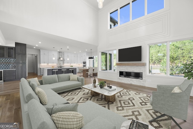 living room with wood-type flooring, a towering ceiling, sink, and a wealth of natural light