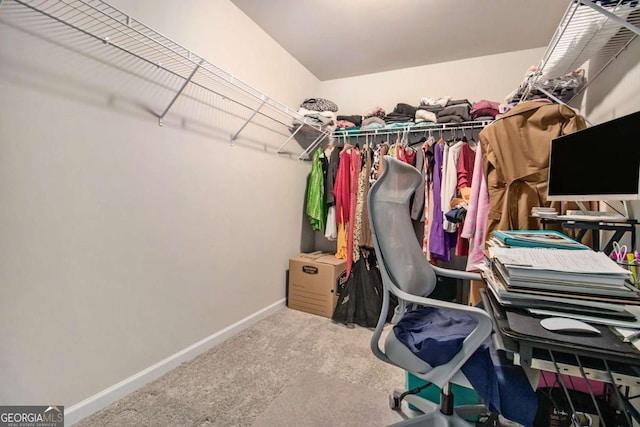 spacious closet featuring carpet