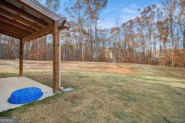 view of yard featuring a patio