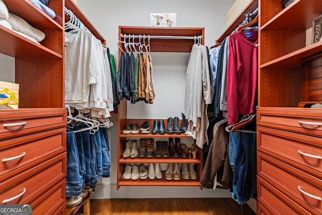 walk in closet featuring wood-type flooring