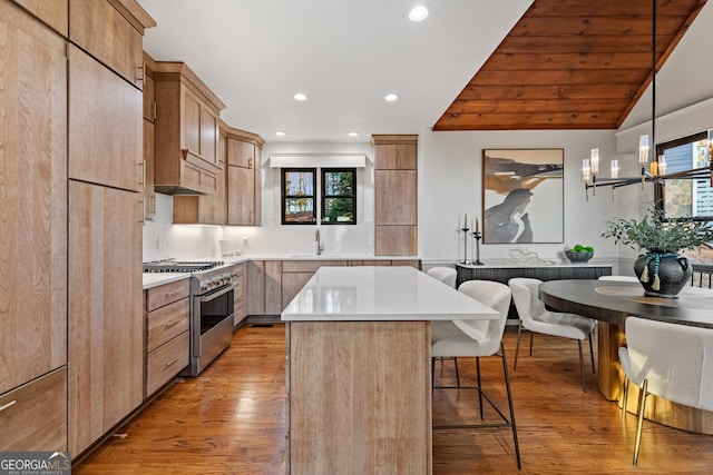 kitchen with high end stainless steel range oven, light hardwood / wood-style flooring, lofted ceiling, decorative light fixtures, and a kitchen island