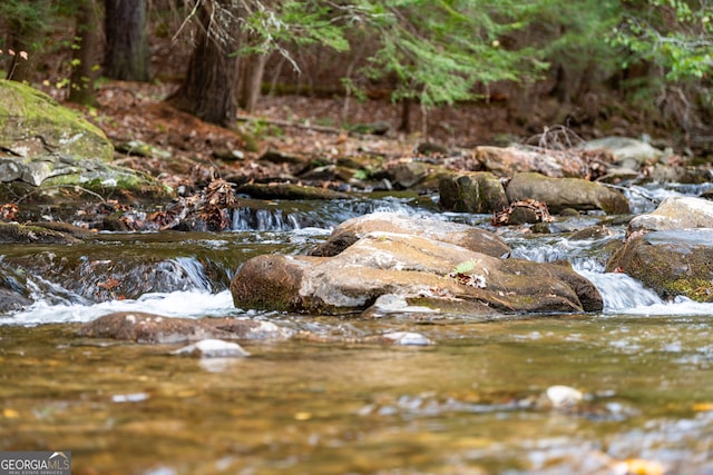 view of local wilderness