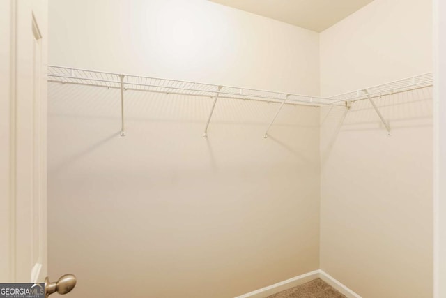 spacious closet featuring carpet