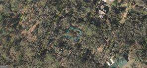 15 Franklin Ln, Saint Simons GA, 31522 land for sale