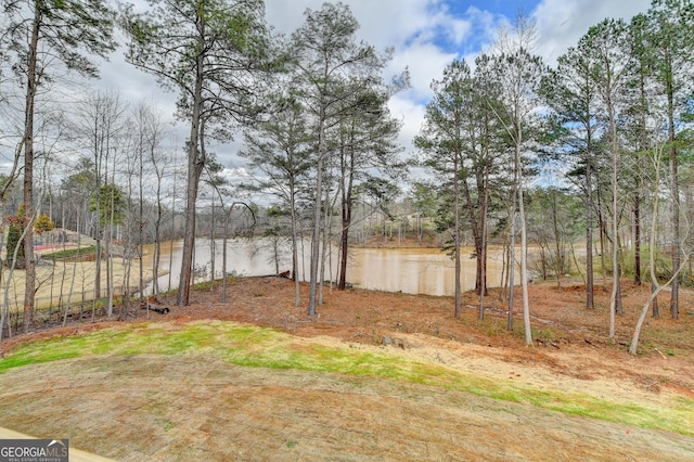 view of yard featuring a water view