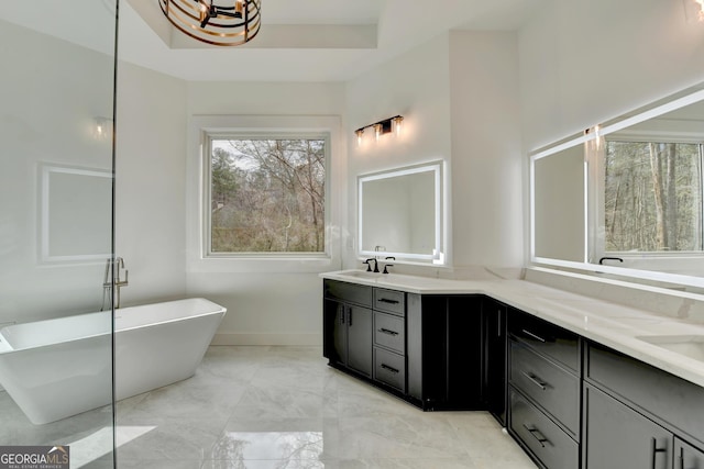 bathroom with vanity, a tray ceiling, and a bathing tub