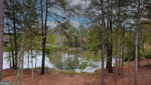 view of water feature