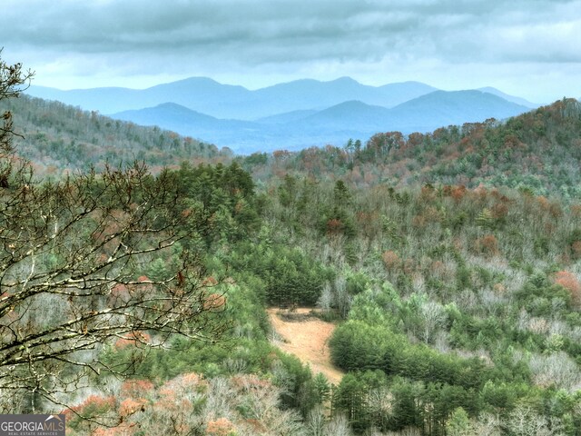 view of mountain feature