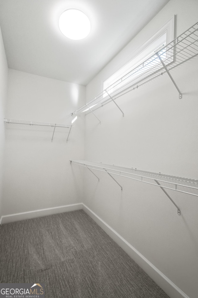 walk in closet featuring dark colored carpet