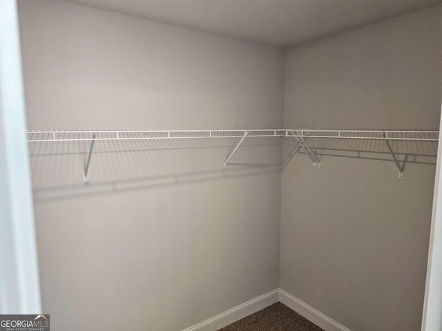 walk in closet featuring dark colored carpet