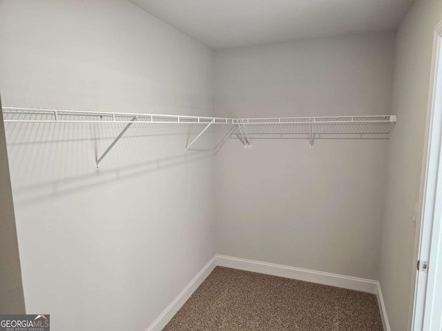 spacious closet featuring carpet floors