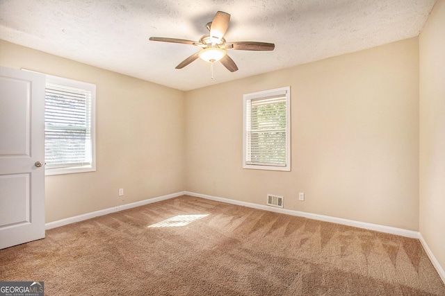 carpeted spare room featuring a textured ceiling, ceiling fan, and a healthy amount of sunlight