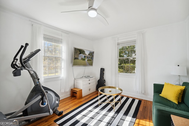 workout room featuring ceiling fan and hardwood / wood-style floors