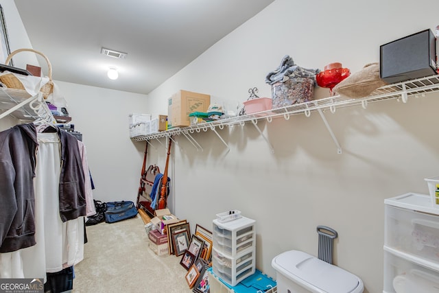 walk in closet with carpet floors