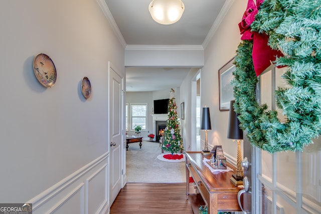 hallway featuring carpet floors and ornamental molding