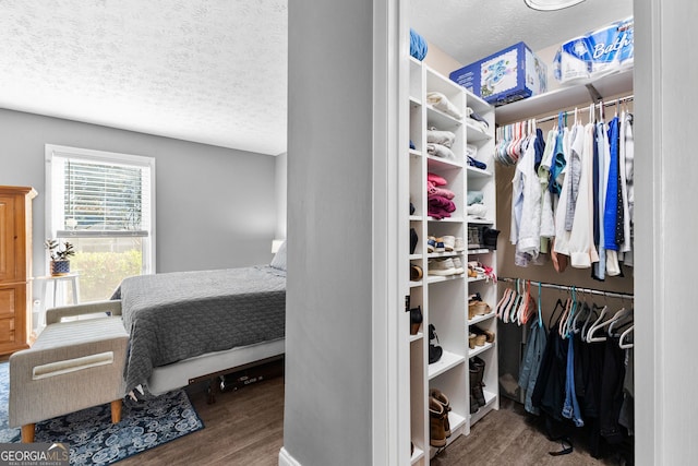 spacious closet featuring hardwood / wood-style floors