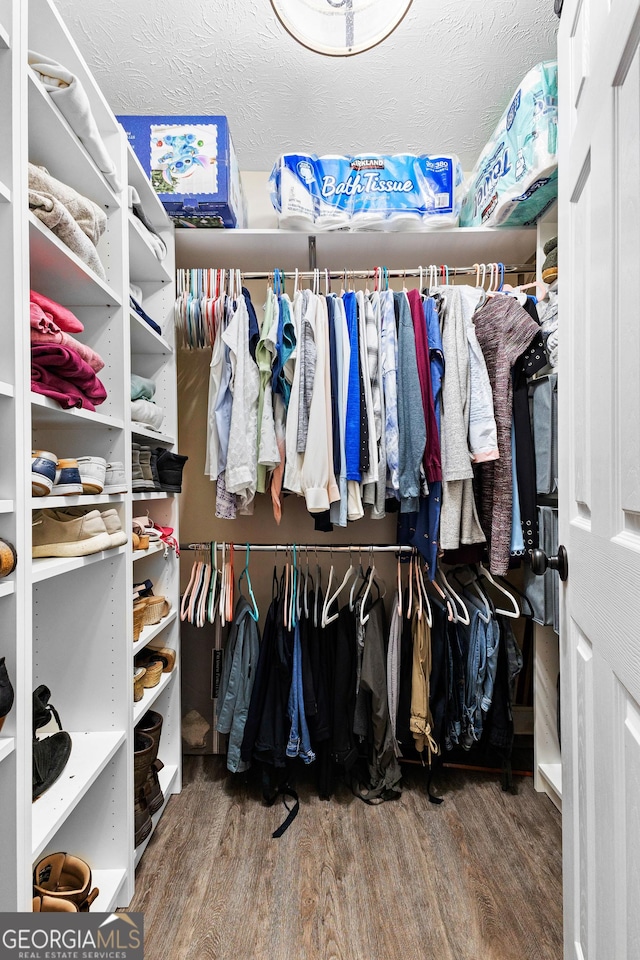 spacious closet featuring wood-type flooring