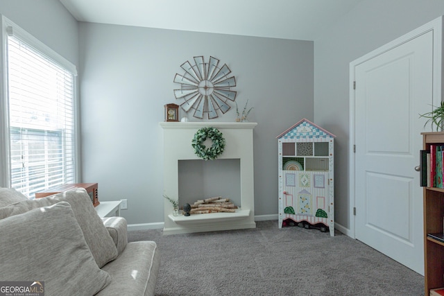 living area featuring carpet floors