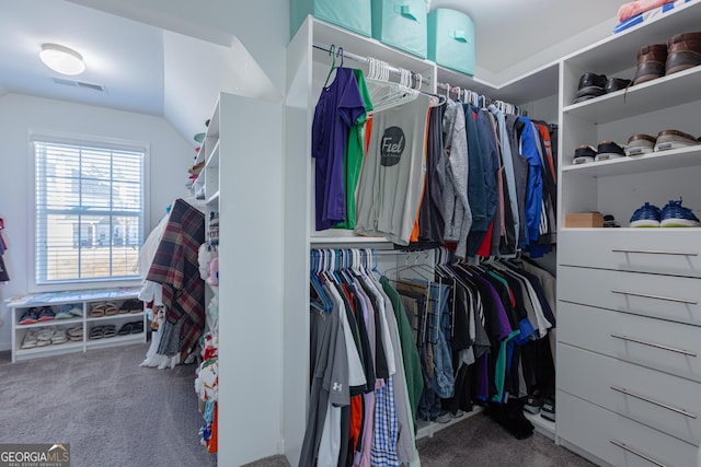 spacious closet with carpet and lofted ceiling