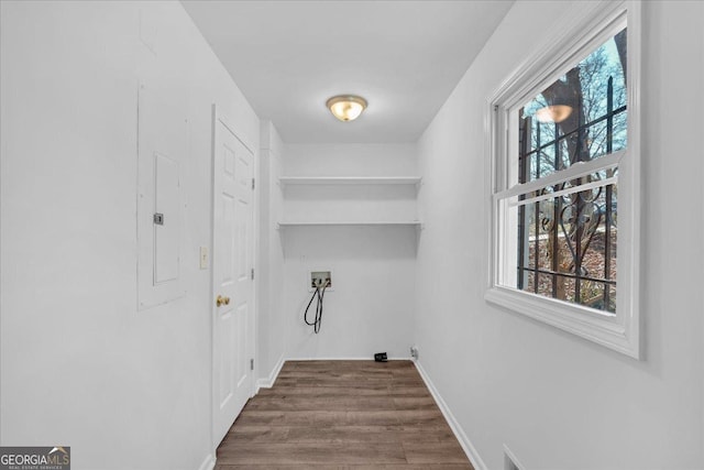 washroom featuring washer hookup, hardwood / wood-style flooring, and a wealth of natural light