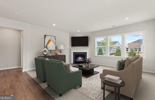 living room with wood-type flooring