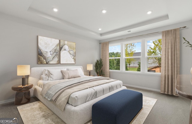 carpeted bedroom featuring a raised ceiling