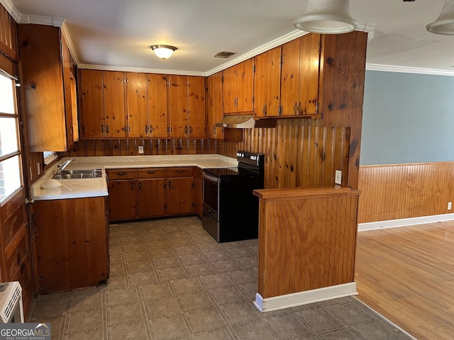 kitchen with ornamental molding, black electric range, sink, and wood walls