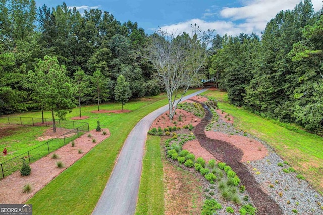 view of home's community with a lawn