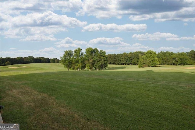 view of property's community with a yard