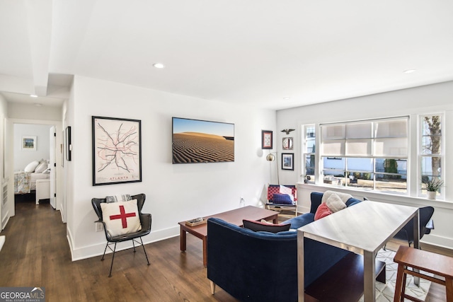 living room with dark hardwood / wood-style flooring