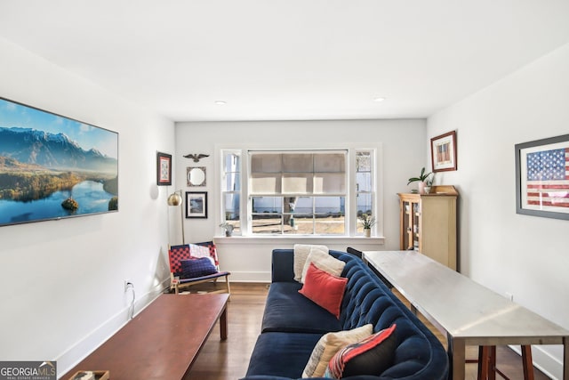 living room with hardwood / wood-style flooring