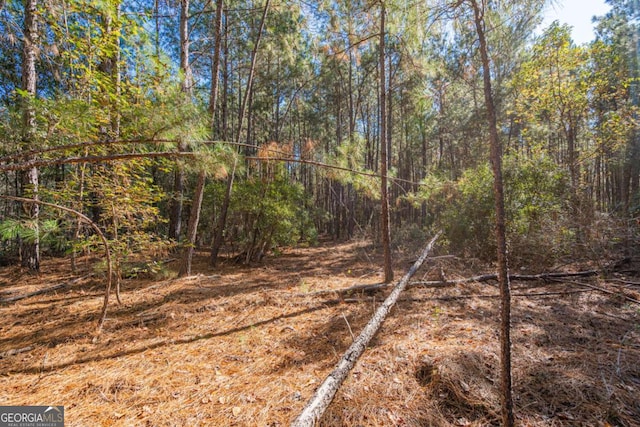 0 Ralph Rahn Rd, Rincon GA, 31326 land for sale