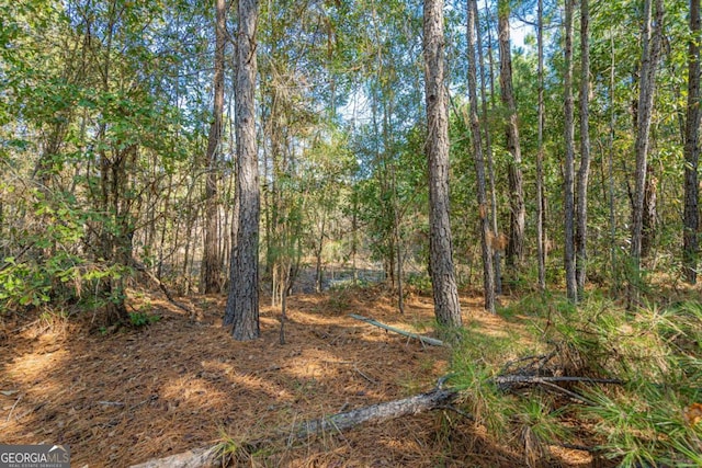 Listing photo 3 for 0 Ralph Rahn Rd, Rincon GA 31326