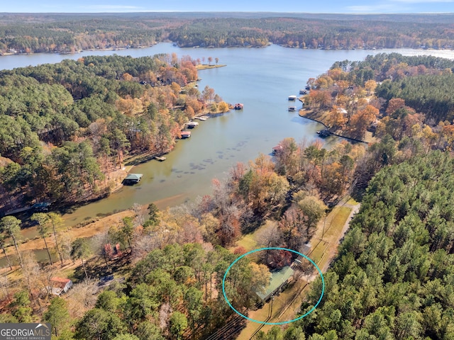 aerial view with a water view