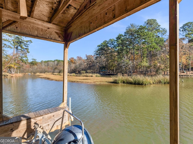 dock area with a water view