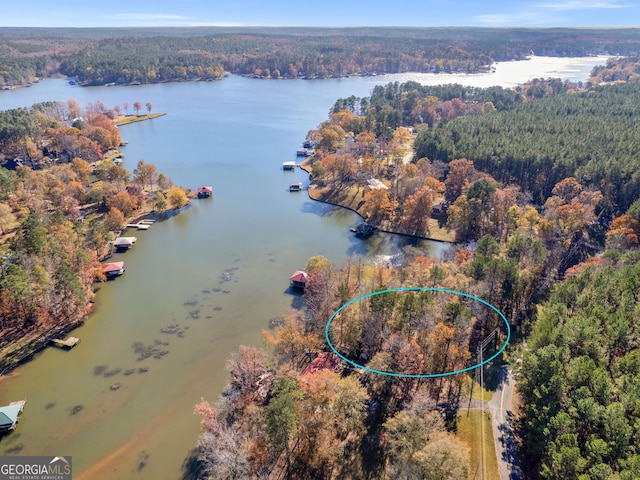 aerial view with a water view